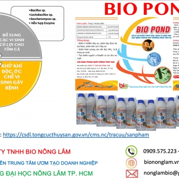 BIO POND