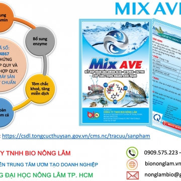 MIX AVE