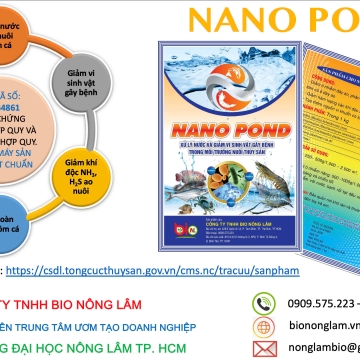 NANO POND