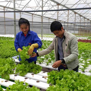 Nông dân sử dụng công nghệ trong nông nghiệp